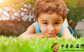 小孩如何起名字(小孩如何起名字好听) 小孩如何起名字(小孩如何起名字好听)
