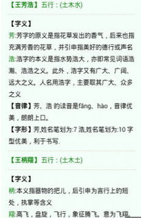 名字的寓意在线解读（名字的寓意有哪些）