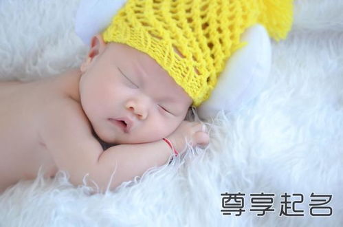 龙宝宝取名字大全男孩2024年（2020年龙宝宝起名）