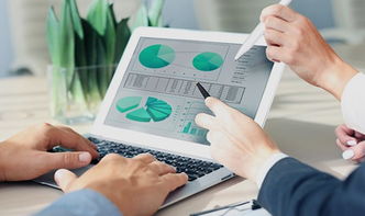 新公司名字注册查询（新公司注册名字核查）