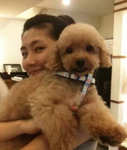 免费宠物取名网(宠物取名大全可爱的免费) 免费宠物取名网(宠物取名大全可爱的免费)