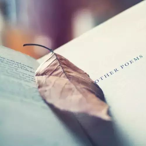 三字意境高雅昵称(三字意境高雅昵称带符号) 三字意境高雅昵称(三字意境高雅昵称带符号)