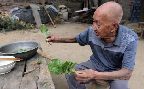 73岁老人扛80斤特产辗转千里看儿孙 73岁老人扛80斤特产辗转千里看儿孙