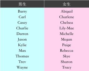 babynamey在线取英文名（在线取英文名 免费）