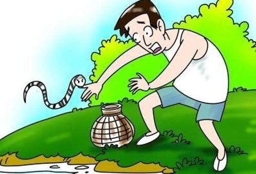 男子讲述被毒蛇咬伤拦车自救经历 男子讲述被毒蛇咬伤拦车自救经历