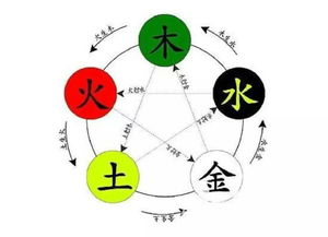 五行缺木怎么补(五行缺木怎么补木最有效) 五行缺木怎么补(五行缺木怎么补木最有效)