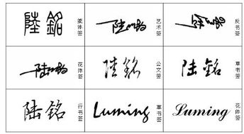 名字书写设计签名(教你写名字漂亮的签名设计) 名字书写设计签名(教你写名字漂亮的签名设计)