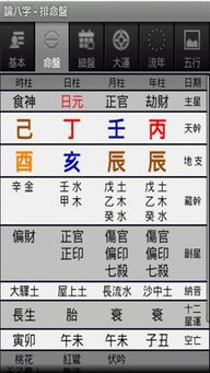 周易八字排盘(周易八字排盘app) 周易八字排盘(周易八字排盘app)