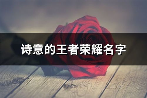 比较有诗意的网名(蓉字比较有诗意的网名) 比较有诗意的网名(蓉字比较有诗意的网名)