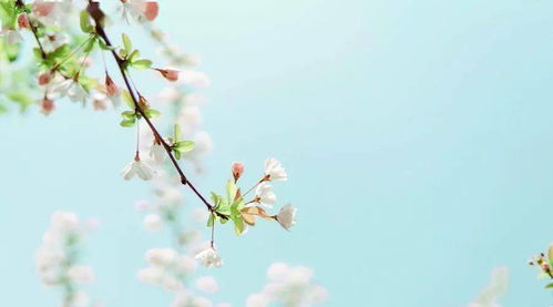 充满诗意的名字（充满诗意的名字网名）