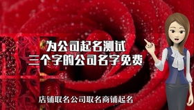 三字公司名称大全推荐(三字公司名称大全简单大气) 三字公司名称大全推荐(三字公司名称大全简单大气)