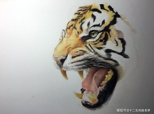 免费宝宝起名2022年属虎(2022年虎宝宝取名100分) 免费宝宝起名2022年属虎(2022年虎宝宝取名100分)