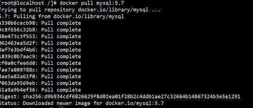 取一个属于自己的网名(网名2025最火) 取一个属于自己的网名(网名2025最火)