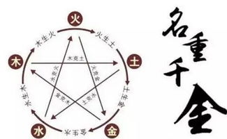 根据五行起名字（根据五行起名字免费）