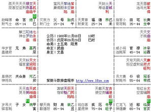 免费超准紫微斗数算命(免费紫微斗数算命终身详解) 免费超准紫微斗数算命(免费紫微斗数算命终身详解)