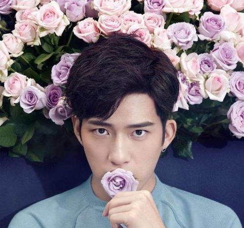 高雅不俗的艺名(男艺名简单大气) 高雅不俗的艺名(男艺名简单大气)