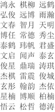 诗经男孩名字(诗经男孩名字带什么字好) 诗经男孩名字(诗经男孩名字带什么字好)