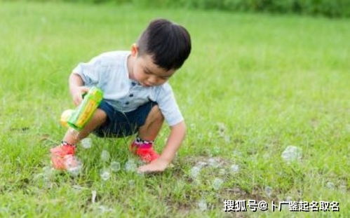 好听稀少的男孩名字虎年（虎年好听的男孩小名）