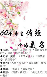 诗经楚辞里的好乳名（诗经楚辞给宝宝取名）