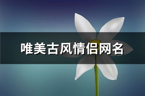 唯美的情侣网名（唯美情侣网名古风）