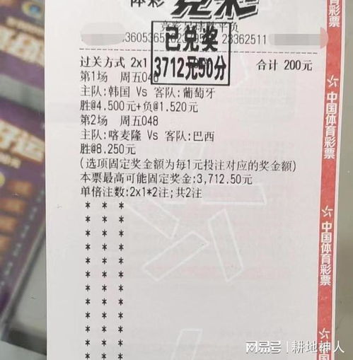 今天世界杯比分预测(今天世界杯比分预测结果) 今天世界杯比分预测(今天世界杯比分预测结果)