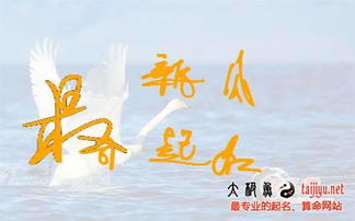 新公司起名二字大全集(新公司起名二字大全集图片) 新公司起名二字大全集(新公司起名二字大全集图片)