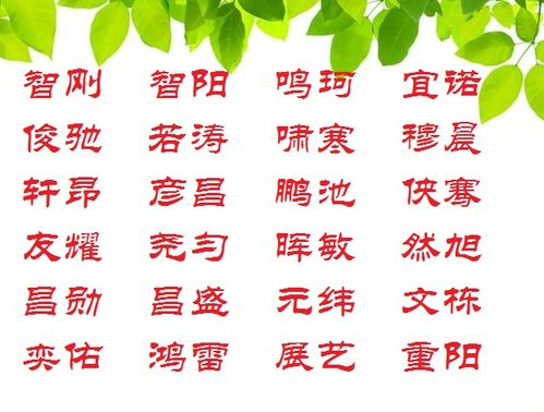 好听起名大全免费(好听名字合集) 好听起名大全免费(好听名字合集)