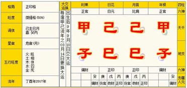免费测算2024年运势（2024年运势查询）