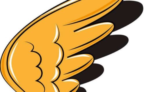 100种漂亮符号翅膀(符号大全翅膀) 100种漂亮符号翅膀(符号大全翅膀)