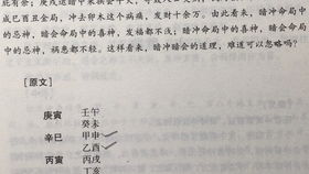 在线八字免费算命（在线八字算命.在线算命.中国）