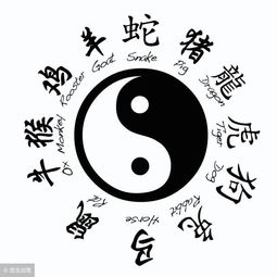 八字算命法(八字算命法全集) 八字算命法(八字算命法全集)