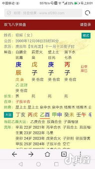 生辰八字排盘免费（生辰八字排盘免费算命）