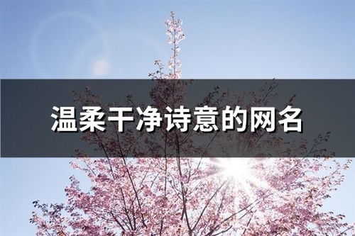 好听的网名比较有诗意（好听的网名比较有诗意六字以内）