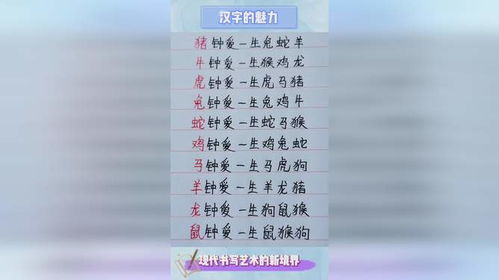 最准的12生肖配对表（十二生肖配对中谁是你的最佳婚配）