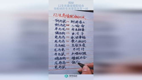 最准的12生肖配对表（十二生肖配对中谁是你的最佳婚配）