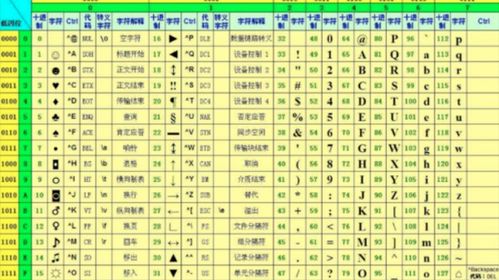 最准的12生肖配对表（十二生肖配对中谁是你的最佳婚配）