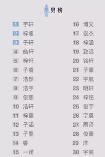 输入名字自动取艺名免费（输入姓氏自动取名免费取名）