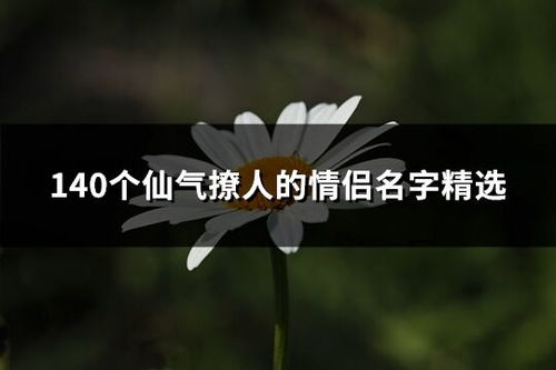特别撩人的情侣网名（140个仙气撩人的情侣名字精选）
