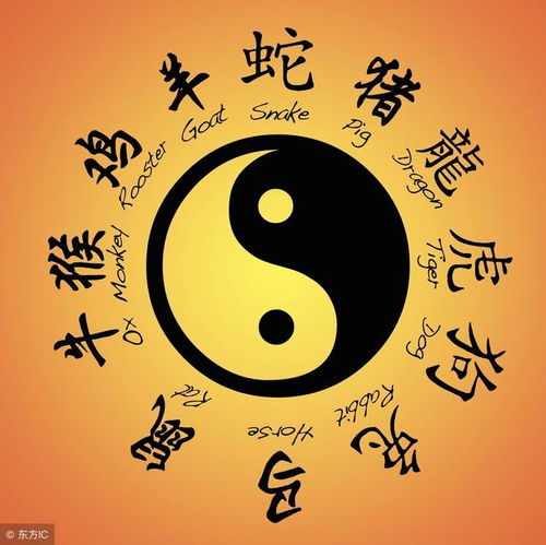 免费算命一生运势图（免费算命人生运势旺衰）