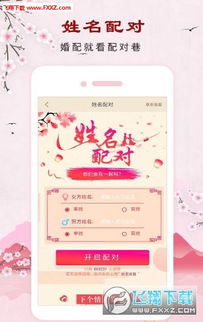 出生日期查询生辰八字起名（出生日期查询生辰八字婚配）
