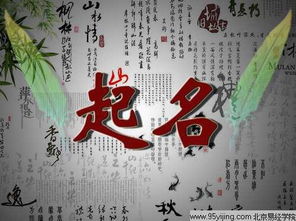 国学起名网免费打分（国学免费取名测名）