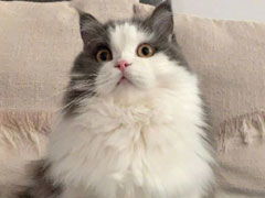 适合女生好听的网名(适合女生好听的网名英文) 适合女生好听的网名(适合女生好听的网名英文)