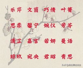 国学起名测名（国学起名测名周易起名网）