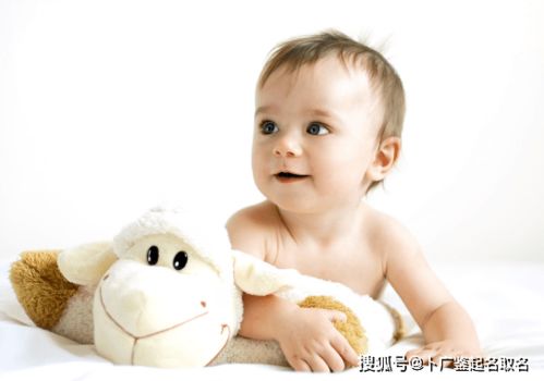 好听大气的男孩名字(大气的名字 男孩) 好听大气的男孩名字(大气的名字 男孩)