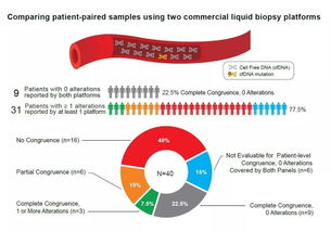 网上测公司名（网上测公司名字可靠吗）