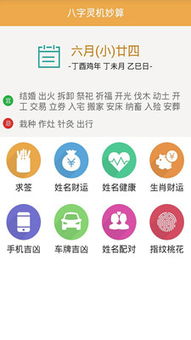 灵机妙算八字免费版(灵机妙算八字免费版详解) 灵机妙算八字免费版(灵机妙算八字免费版详解)