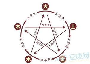 五行属火的字大全起名（五行属火的字起名网）