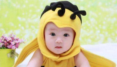 好听又顺口的小名（好听又顺口的小名带序男孩名字）