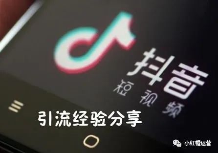 什么名字好听又招财（抖音起什么名字好听又招财）