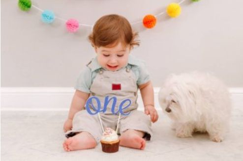 2022虎宝宝免费起名(2022虎宝宝取什么名字最好) 2022虎宝宝免费起名(2022虎宝宝取什么名字最好)